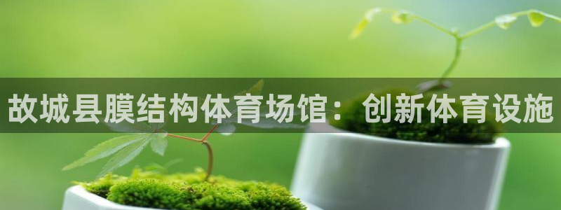 意昂3娱乐：故城县膜结构体育场馆：创新体育设施