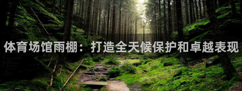 意昂3五金厂：体育场馆雨棚：打造全天候保护和卓越表现