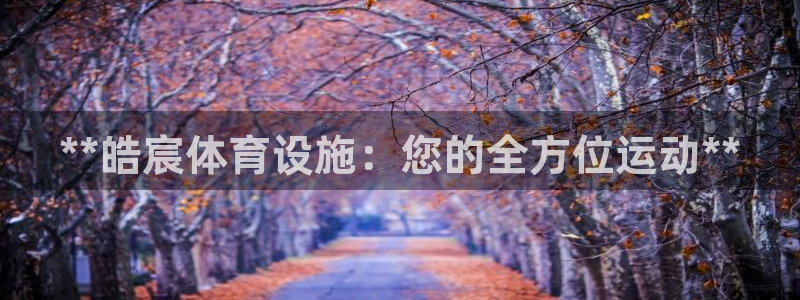 意昂3娱乐：**皓宸体育设施：您的全方位运动**