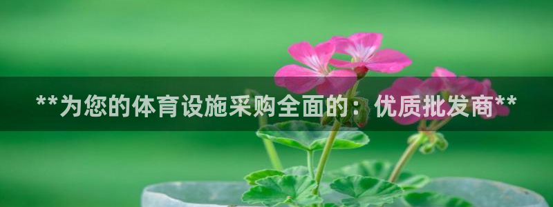 意昂体育3平台：**为您的体育设施采购全面的：优质批