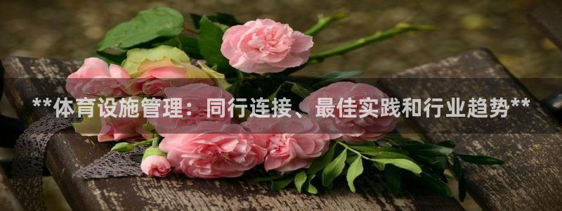 意昂3娱乐40996：**体育设施管理：同行连接、最