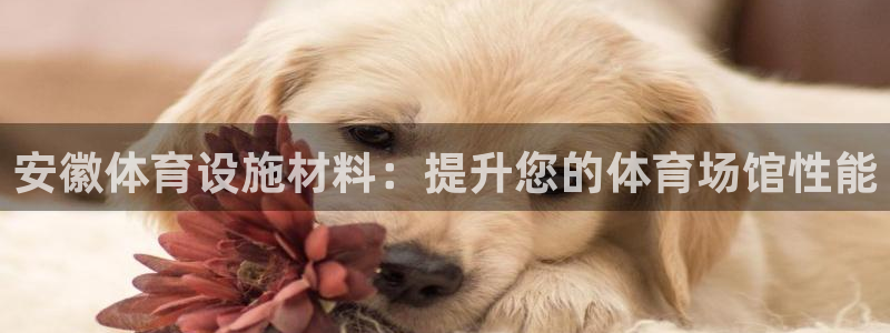 意昂体育3招商电话号码是多少：安徽体育设施材料：提升
