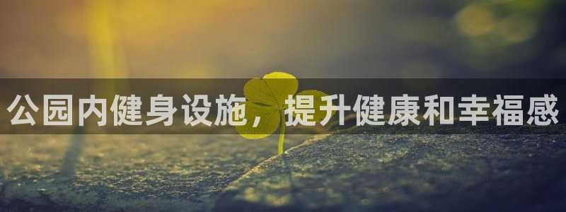 海南意昂体育3：公园内健身设施，提升健康和幸福感