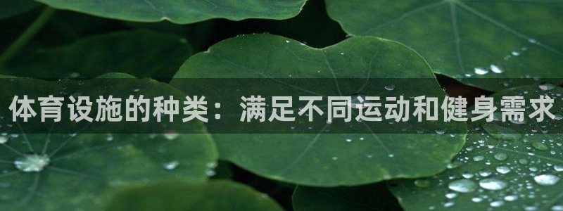 意昂体育3娱乐：体育设施的种类：满足不同运动和健身需