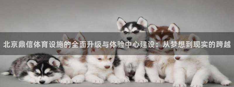 意昂3娱乐下载