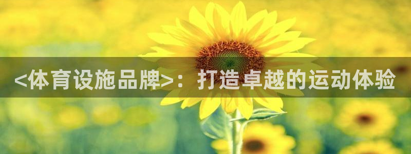 意昂体育3平台假的吗是真的吗吗：<体育设施品牌>：打造卓越的 