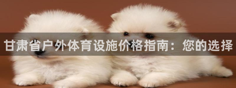 意昂体育3招商电话号码是多少号：甘肃省户外体育设施价格指南：