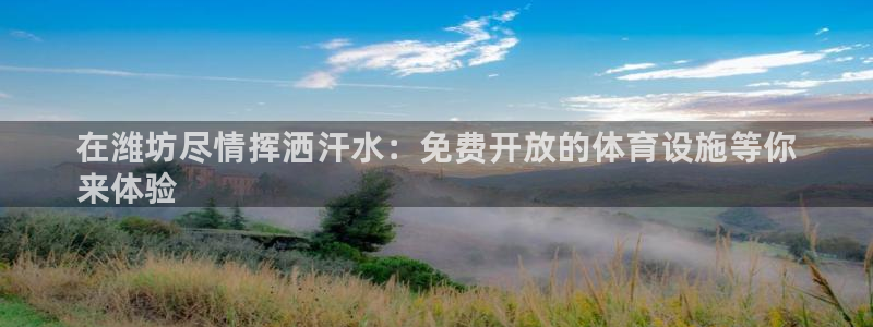 意昂体育3招商电话是多少号码：在潍坊尽情挥洒汗水：免费开放的