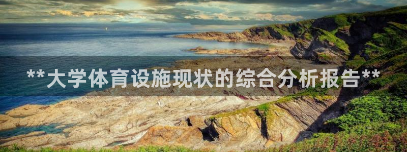 意昂3娱乐：**大学体育设施现状的综合分析报告** 