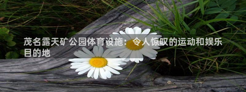 意昂3集团logo：茂名露天矿公园体育设施：令人惊叹
