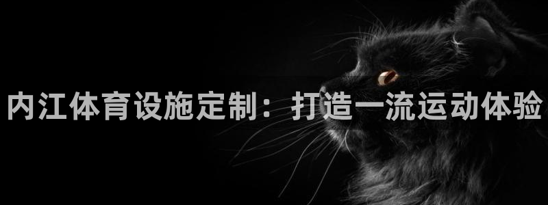 意昂体育3平台注册流程视频：内江体育设施定制：打造一流运动体
