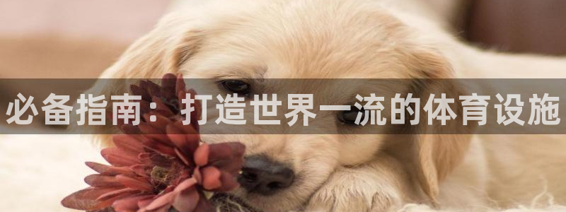 意昂3娱乐首页网站大全：必备指南：打造世界一流的体育设施