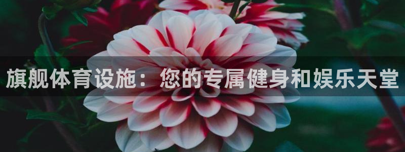 意昂3娱乐首页网站大全：旗舰体育设施：您的专属健身和娱乐天堂