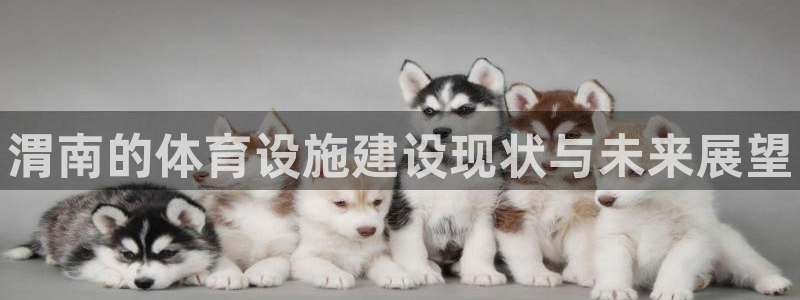 意昂3集团官网首页：渭南的体育设施建设现状与未来展望 