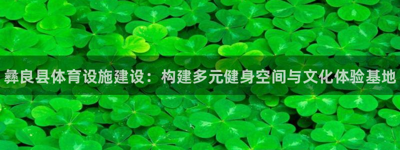意昂体育3联系电话：彝良县体育设施建设：构建多元健身
