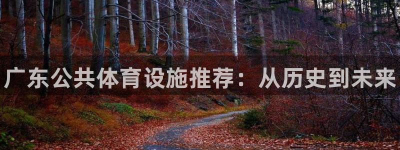 意昂3集团：广东公共体育设施推荐：从历史到未来