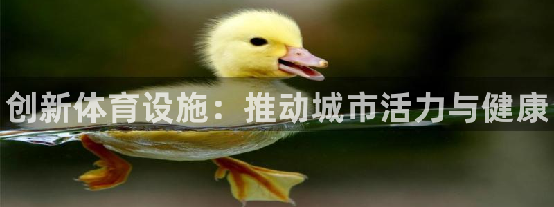 意昂体育3：创新体育设施：推动城市活力与健康 