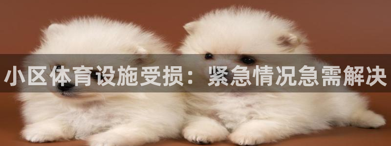 意昂体育3平台是正规平台吗：小区体育设施受损：紧急情况急需解 