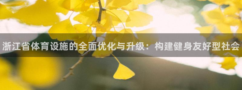 意昂体育3招商：浙江省体育设施的全面优化与升级：构建