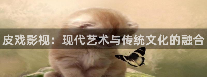 神马午夜噜噜片