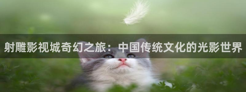 噜噜噜噜噜影院