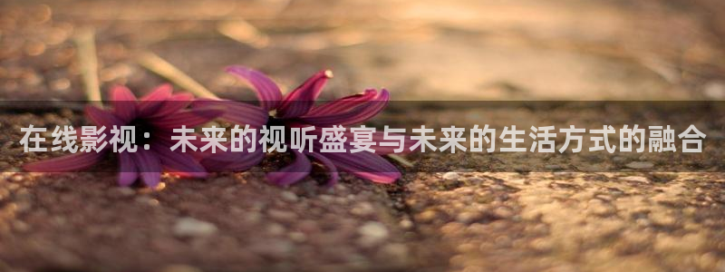 噜噜影院日韩电影